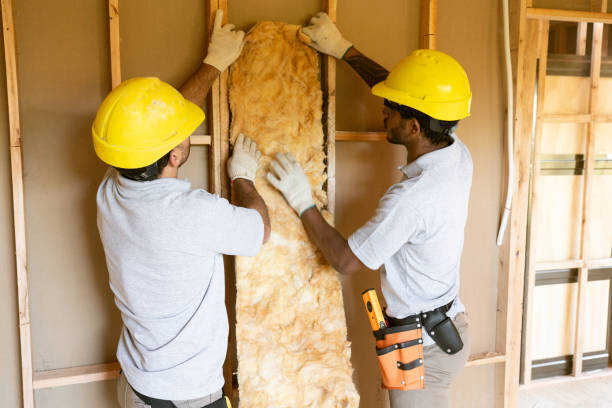 Types of Insulation We Offer in Kihei, HI